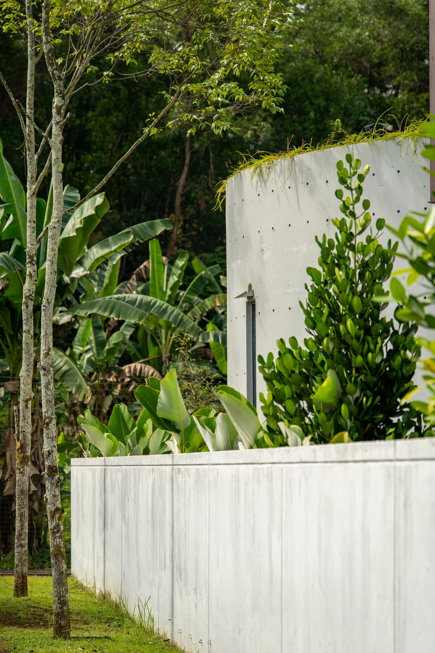Ambrosia Kinrara — project photograph 16