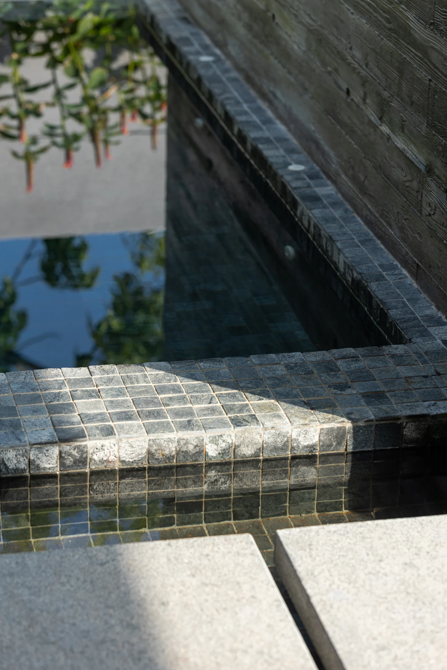 Grandville USJ — project photograph 70